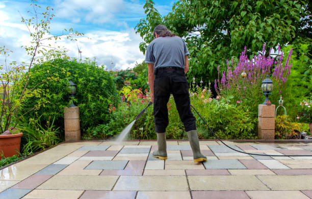 Best Animal Enclosure Cleaning  in Hlcrest, IL